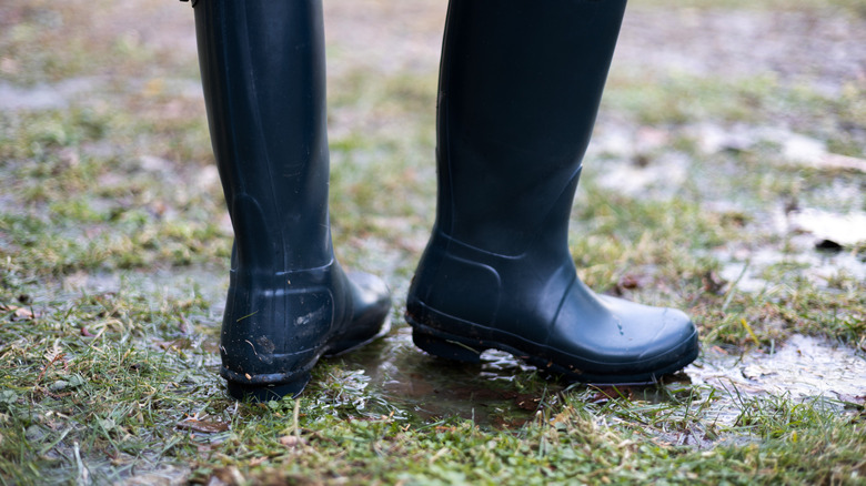 Rain boots in muddy yard