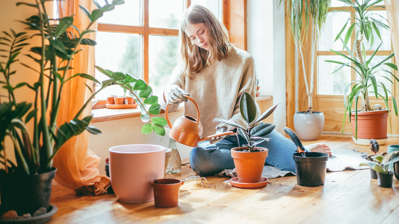 Watering plants on floor