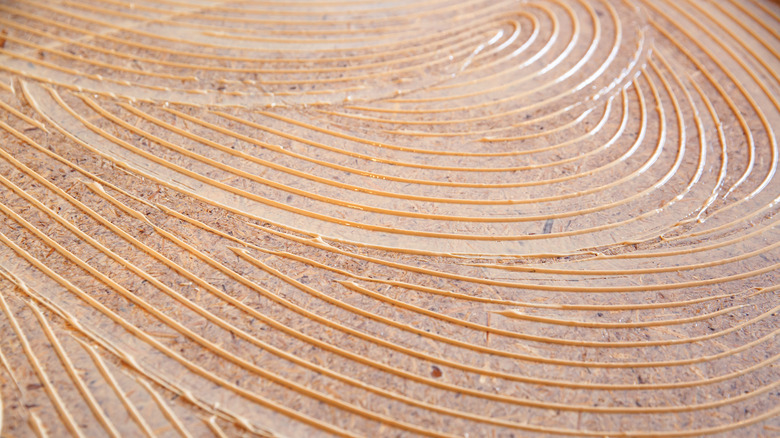 Wood glue is seen applied in rainbow-like arches on a subfloor