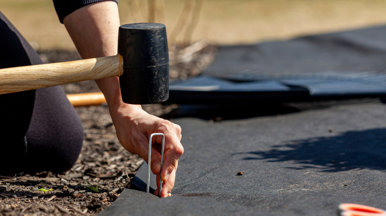 A person installing a landscape fabric weed barrier