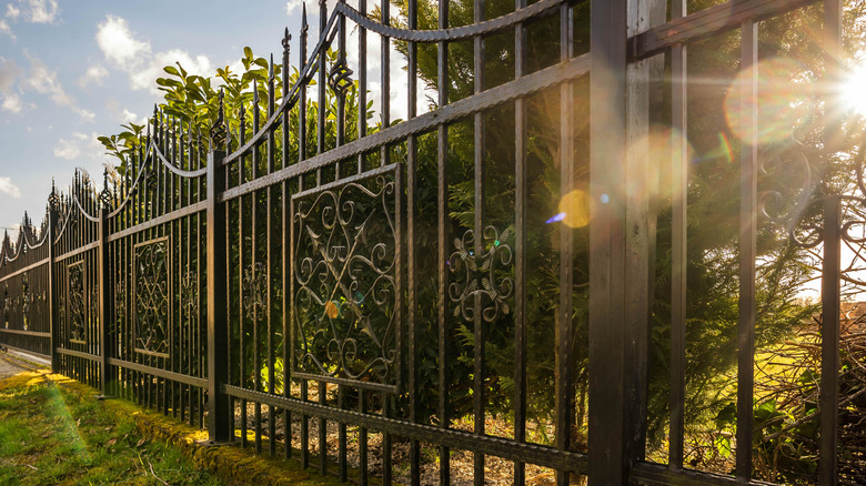 black wrought iron fence