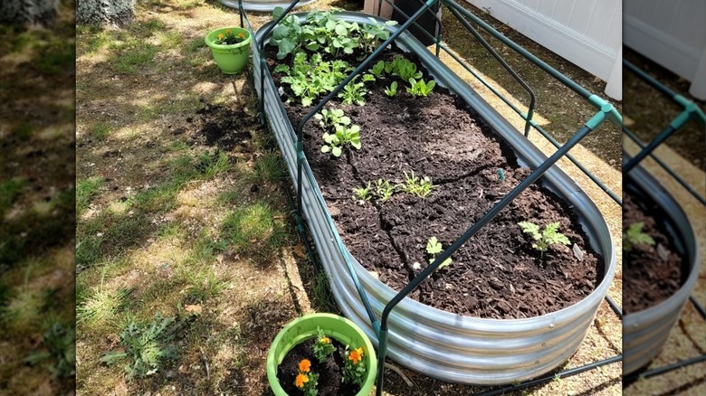 The galvanized raised garden bed from Walmart.