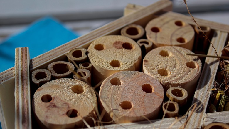 DIY bee hotel wooden