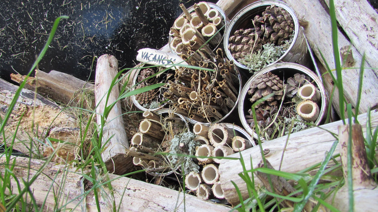 Pile of wood with containers of sticks and pine cones arranged in it.