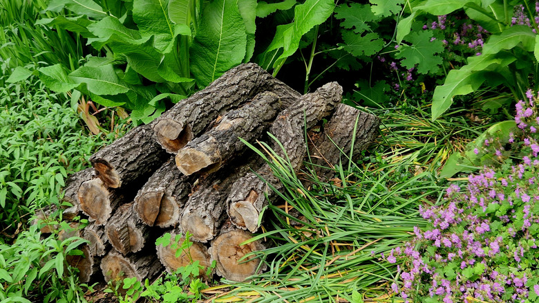 A pile of sawn logs stacked neatly on the ground surrounded by greenery.