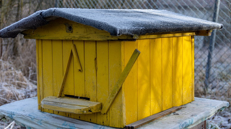 Insulated beehive roof in winter