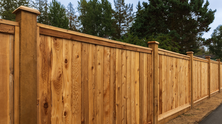 Tall, solid brown privacy fence.