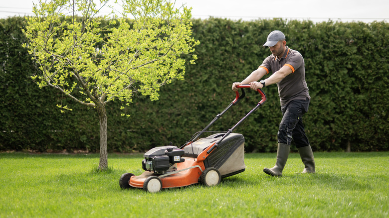 A man using a push mower to cut the grass