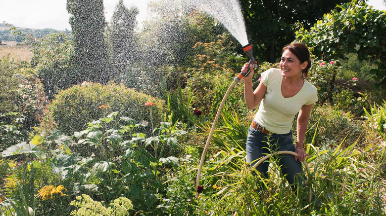 women in garden watering