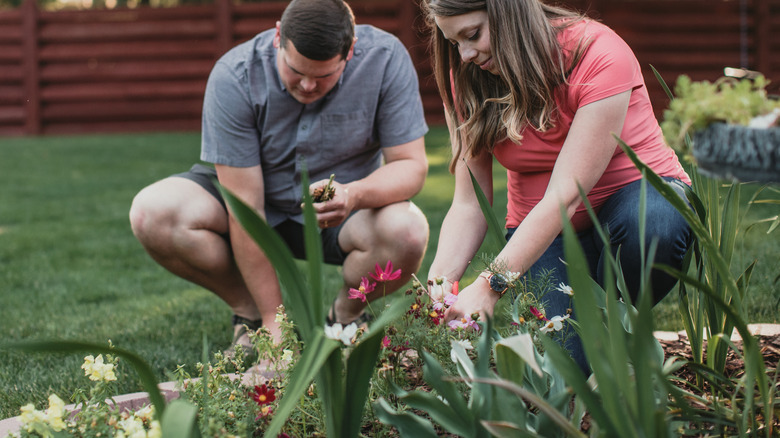 Two people deadheading various flowers in a garden