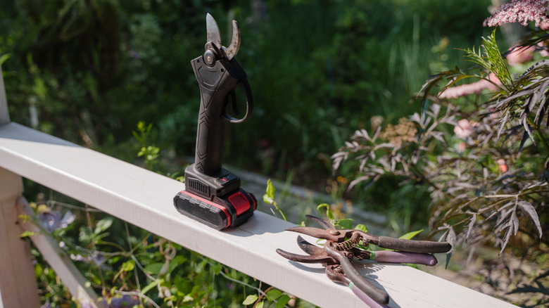 Pruning tools sit on the railing of a deck with a garden full of shrubs in the background.