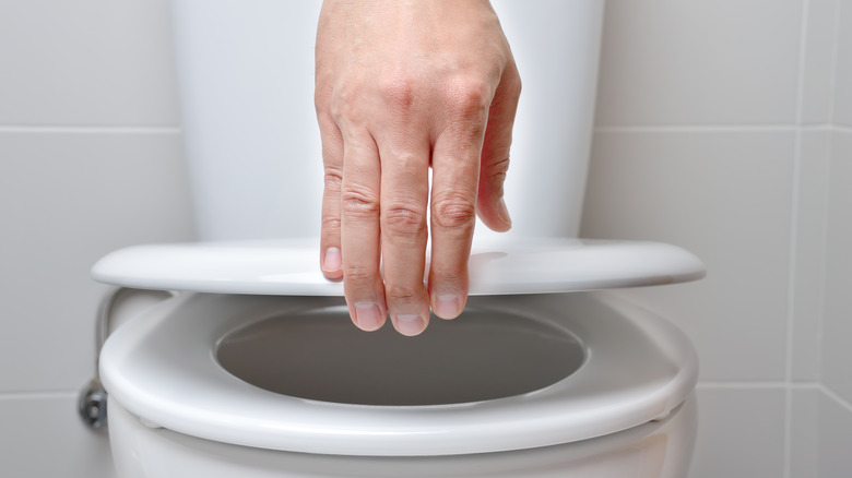 Hand closing a toilet lid
