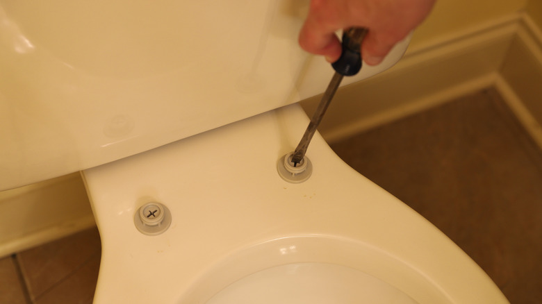 Person screwing toilet bumper