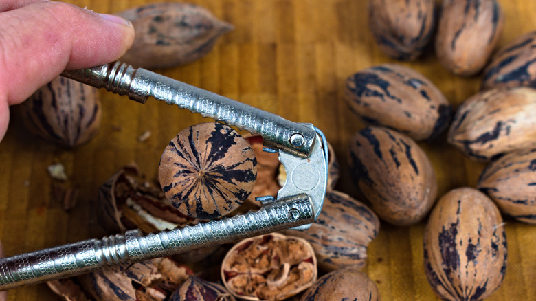 Person cracking open pecan shells