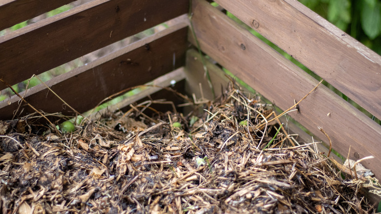 Wooden compost bin half full of weeds