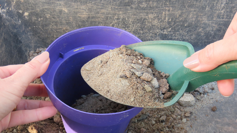 A person adds gravel and sand to a plastic nursery pot with a small green trowel.