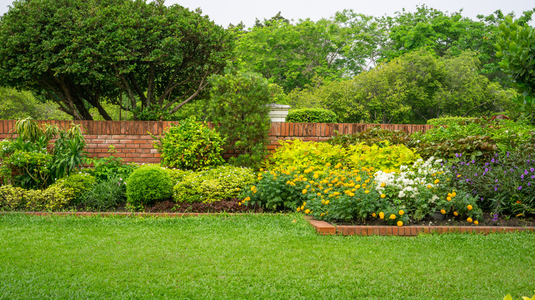 Lush residential lawn 