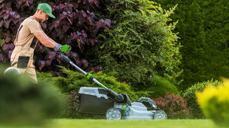 man mowing lawn