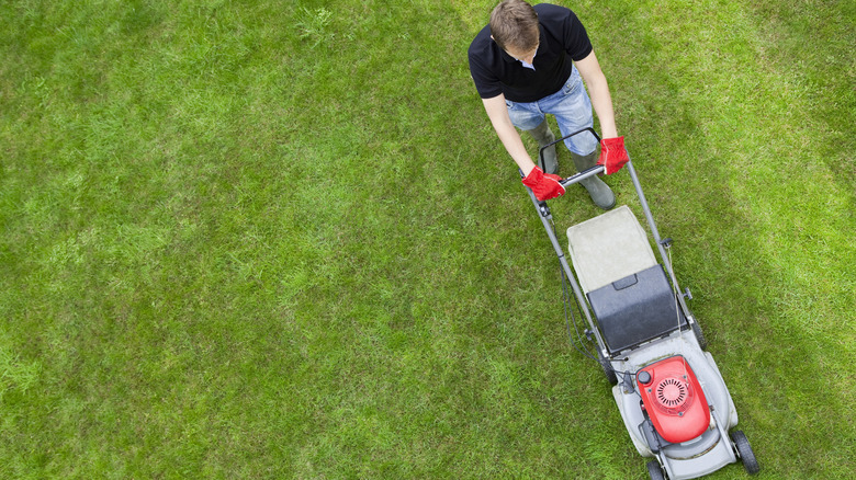 man lowing lawn