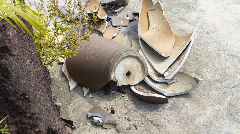 Broken plant pot on the ground.