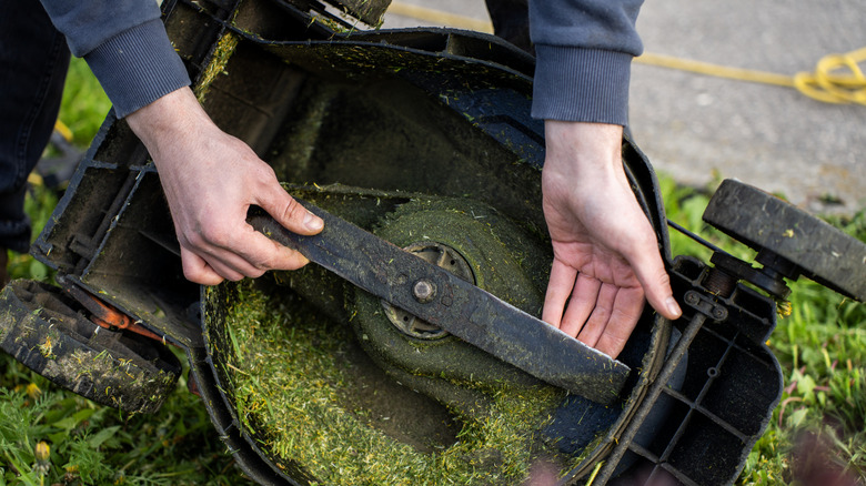 a person holding a lawn mower blade