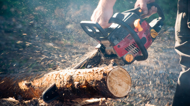 A chainsaw being used to cut a wooden log