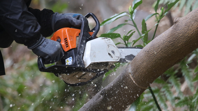 A man cutting throgh a branch with a chainsaw
