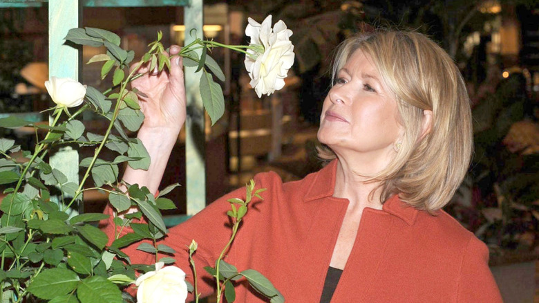 Martha Stewart examining a white flower
