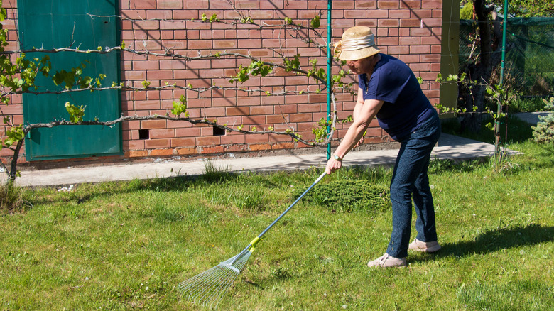 A woman in a bucket hat is raking leaf litter from her spring lawn