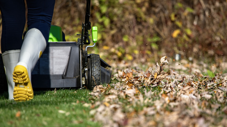 Person mulching leaves with lawn mower