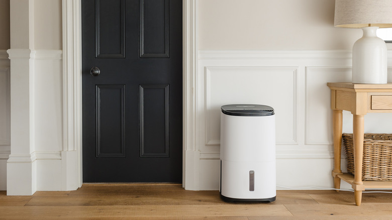 Stylish dehumidifier in front of paneled wall by door
