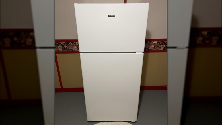 Standard white Hotpoint refrigerator by wallpaper and white rug