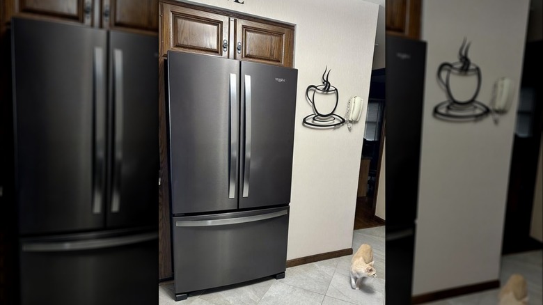 Black Whirlpool fridge with coffee sign and small dog in clean kitchen