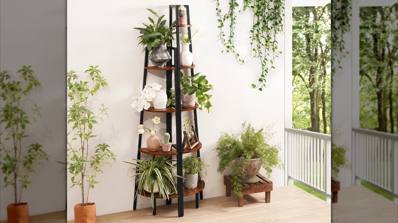 A tall wooden and metal stand is covered in houseplants