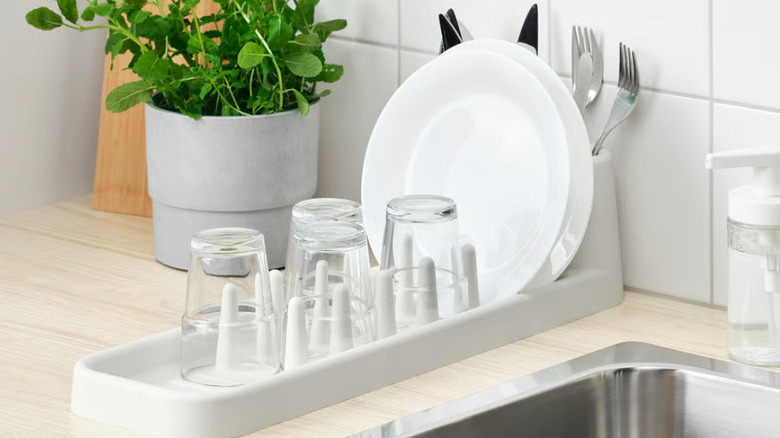 Loaded small white dish tray on light kitchen counter beside sink and potted plant