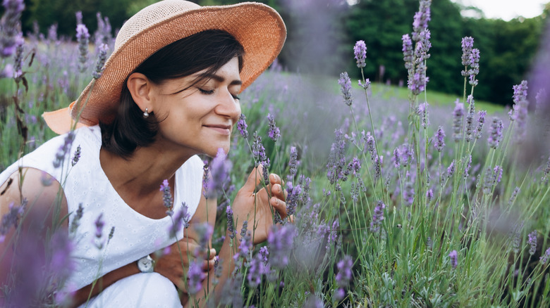 woman smelling lavender