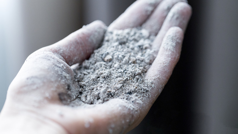 A person holding a handful of ash