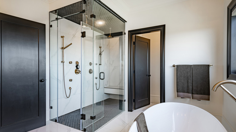 A square glass shower with the nozzles against the far wall and a tub in the bottom corner