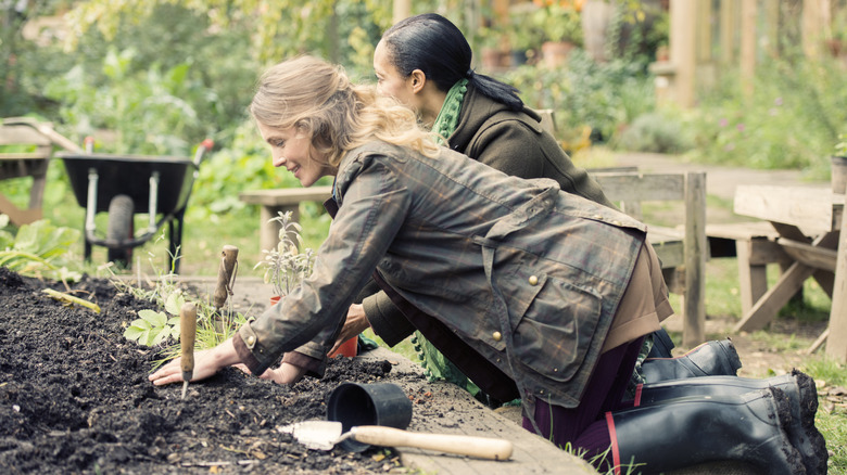 women planting vegetables in garden