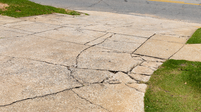 A concrete driveway with extensive cracks