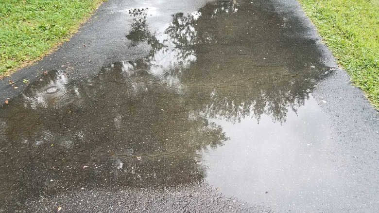 Waterlogged asphault driveway with grass on both sides
