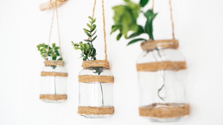 Three glass jars are hanging from twine, holding artificial plants
