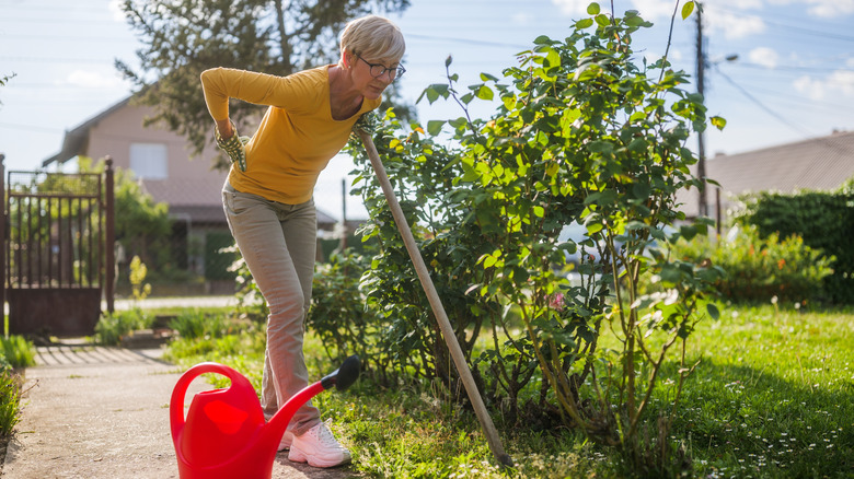 Older woman with back pain while gardening