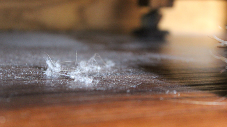 Dust particles on hardwood floor