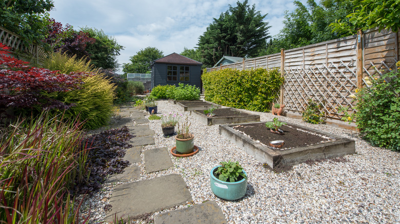 A well-landscaped garden covered in white stone gravel