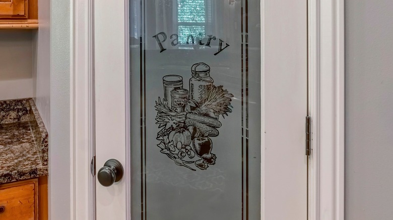 translucent glass pantry door with designs