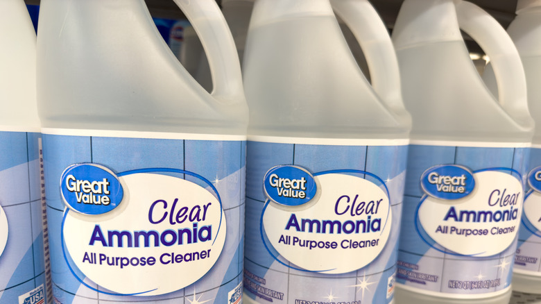 Close up of ammonia bottles on a store shelf