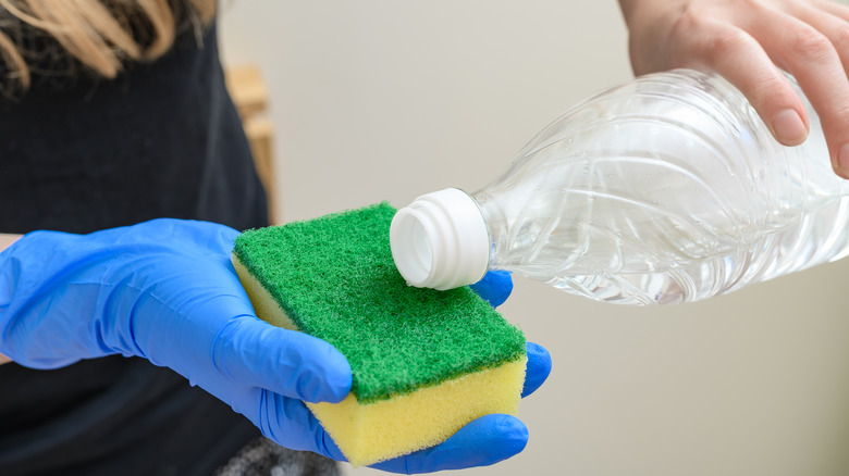 Woman pouring solution from a bottle onto a scrub sponge