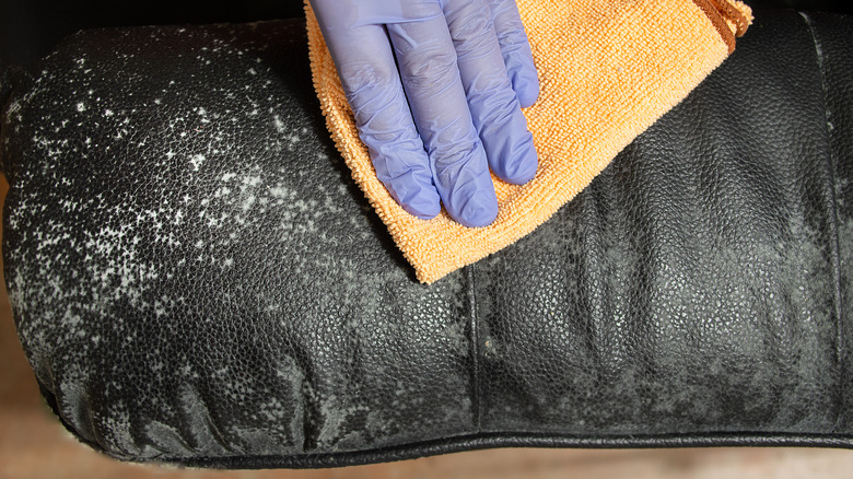 hand cleaning moldy couch