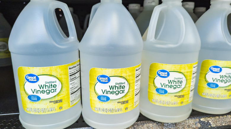 Big plastic bottles of white vinegar on the shelf of a grocery store.
